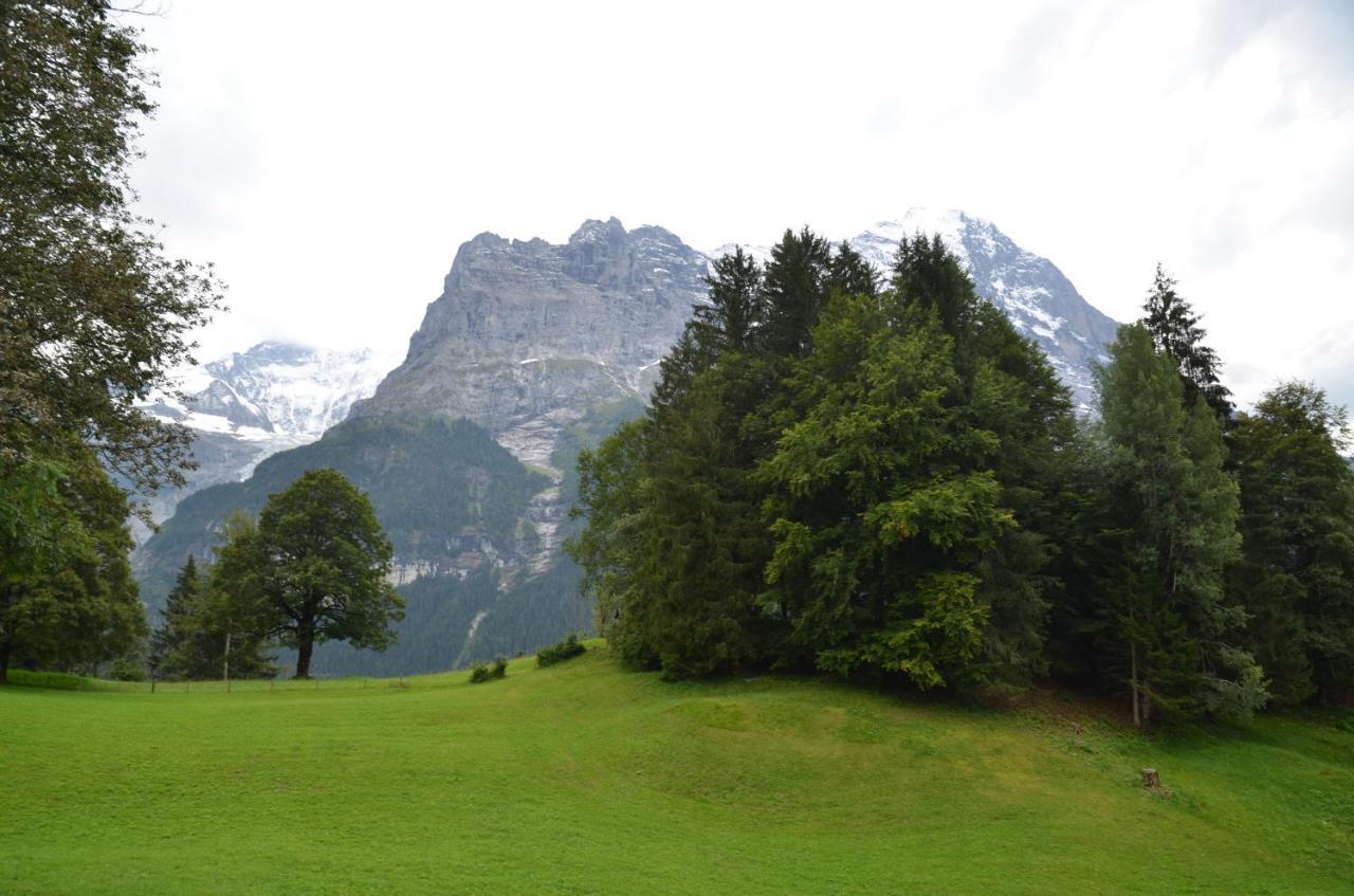 Apartment Grindelwaldgletscher - Griwa Rent Ag Eksteriør bilde