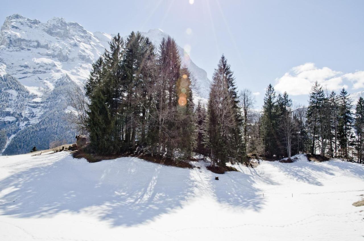 Apartment Grindelwaldgletscher - Griwa Rent Ag Eksteriør bilde